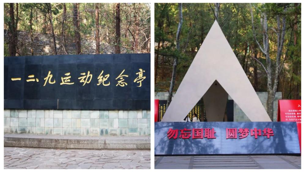黄色仓库